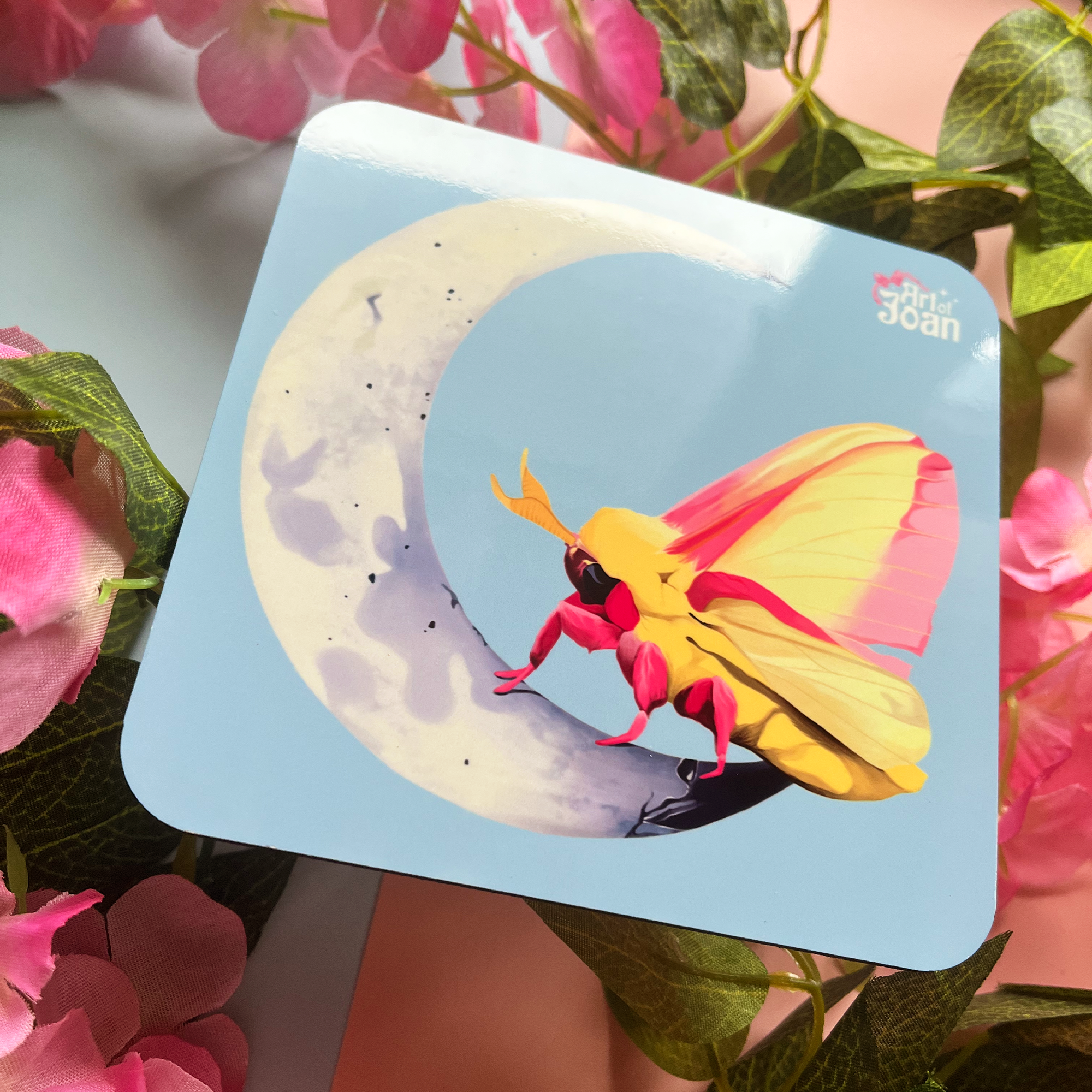 Moth on the Moon Coaster
