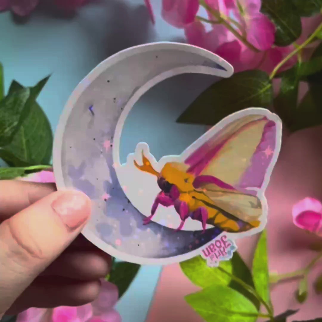 Moth on the Moon Holographic Sticker